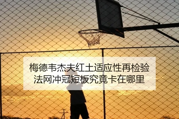 梅德韦杰夫红土适应性再检验 法网冲冠短板究竟卡在哪里